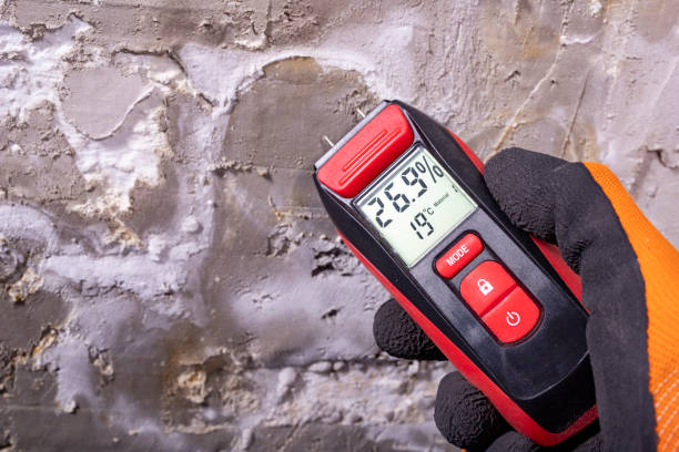 Best Mold Inspection  in Warrenton, VA