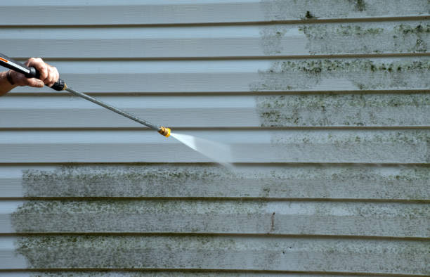 Professional Mold Removal in Warrenton, VA