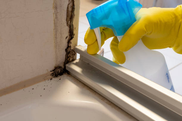 Best Crawl Space Mold Removal  in Warrenton, VA