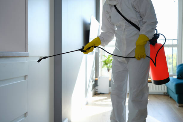 Best Mold Cleaning Services  in Warrenton, VA