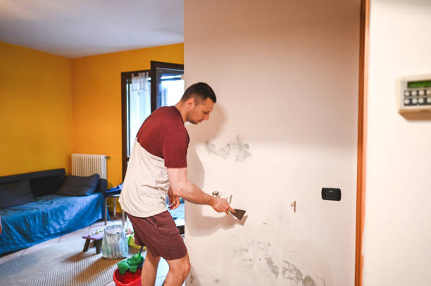Best Best Mold Removal Companies  in Warrenton, VA